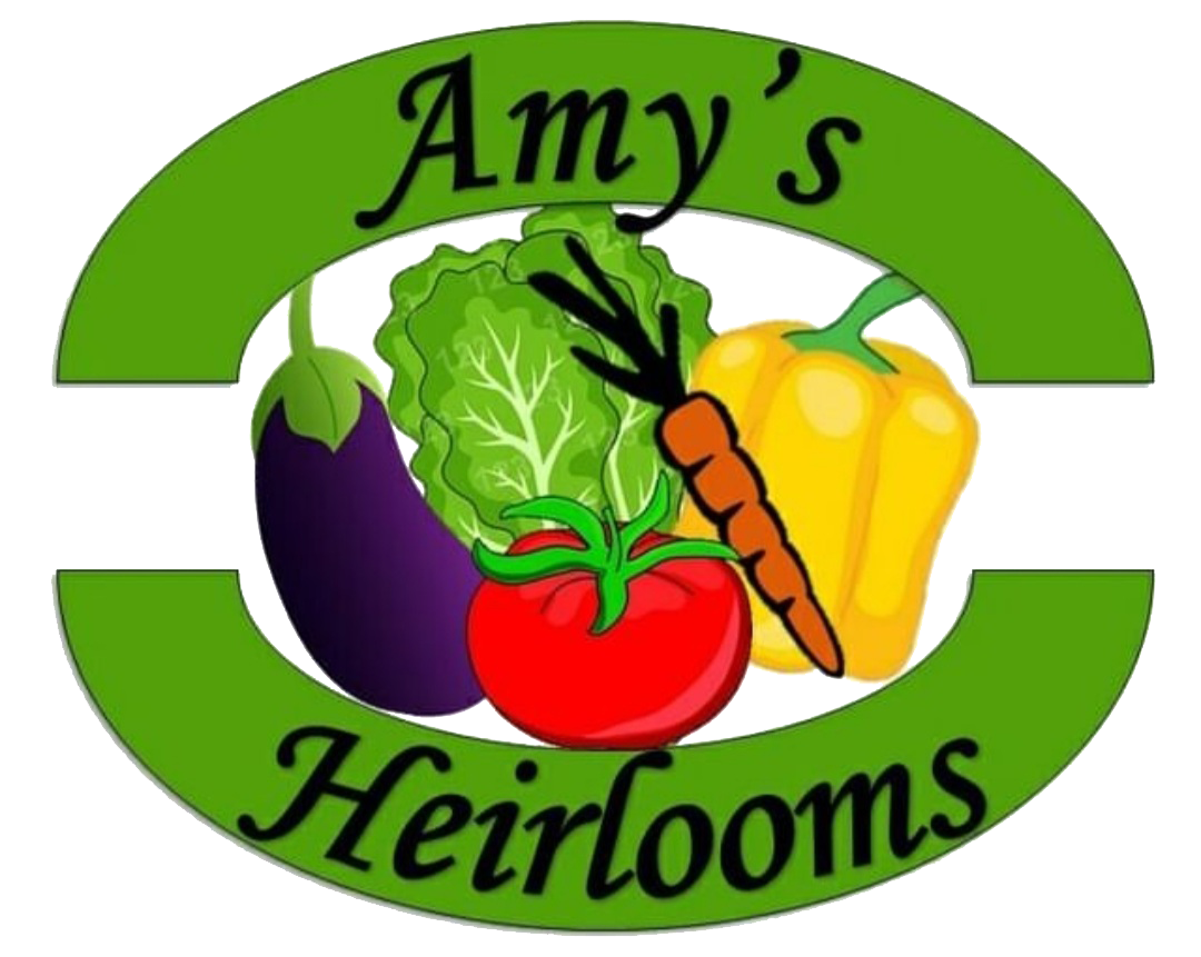 AmyLogo Logo of a farm featuring a silhouette of a cow grazing on grass, with the text "Your Farm Logo" and the tagline "Where Quality is the Focus." Ideal for branding in the agriculture sector.